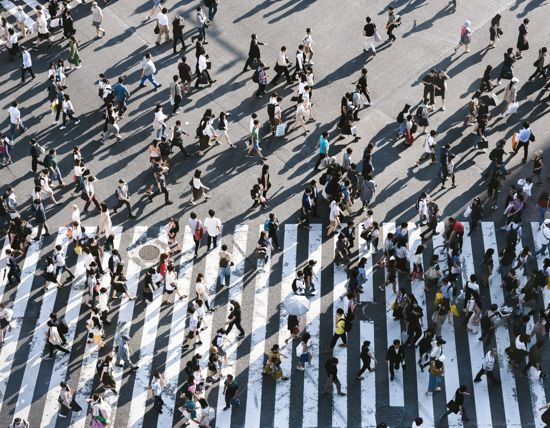 People on a Pedestrian Crossing